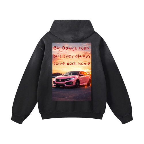 Heavyweight Sunfade Oversized Hoodie